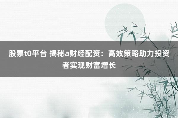股票t0平台 揭秘a财经配资：高效策略助力投资者实现财富增长
